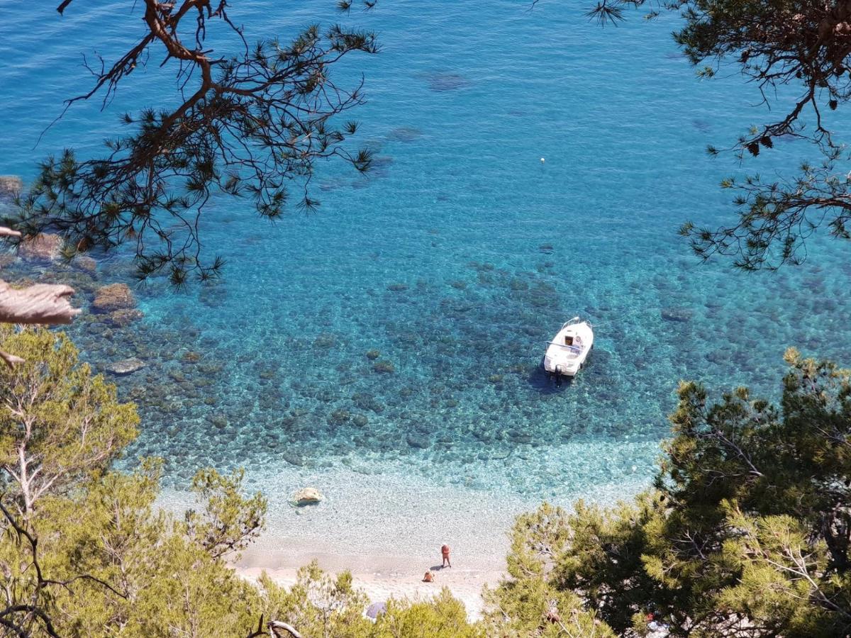"L'Hippocampe", Climatise, 60 M2 , 2 Chambres, Tres Calme, Plage Des Sablettes Et Commerces A 3 Minutes A Pied, Wifi, Parking Gratuit, Lit King Size La Seyne-sur-Mer Εξωτερικό φωτογραφία